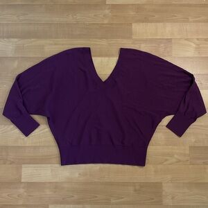 Express Deep Purple V-Neck Sweater